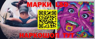 гидра Нальчик