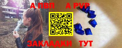 гидра Нальчик
