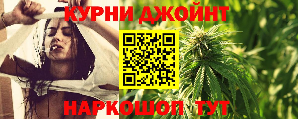 Шишки марихуана сатива  Вход с VPN  Бошки Шишки OG Kush  Чистополь 